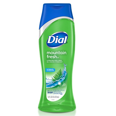 Dial Antibacterial Body Wash, Mountain Fresh, 16 Fl. Oz