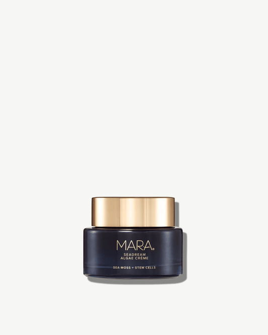 Sea Moss + Stem Cells SeaDream Firming Algae Créme Moisturizer