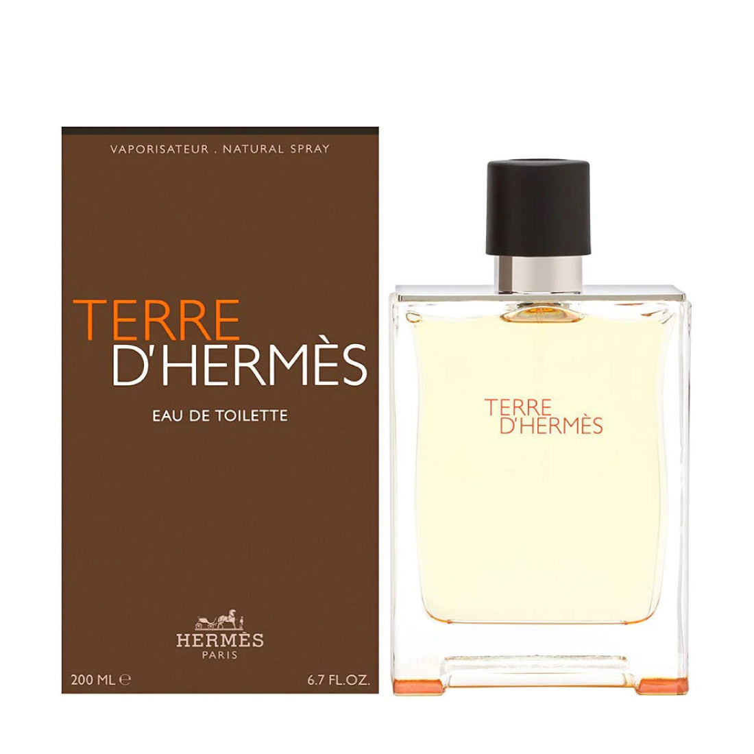 Terre D' Hermes For Men By Hermes Eau de Toilette Spray