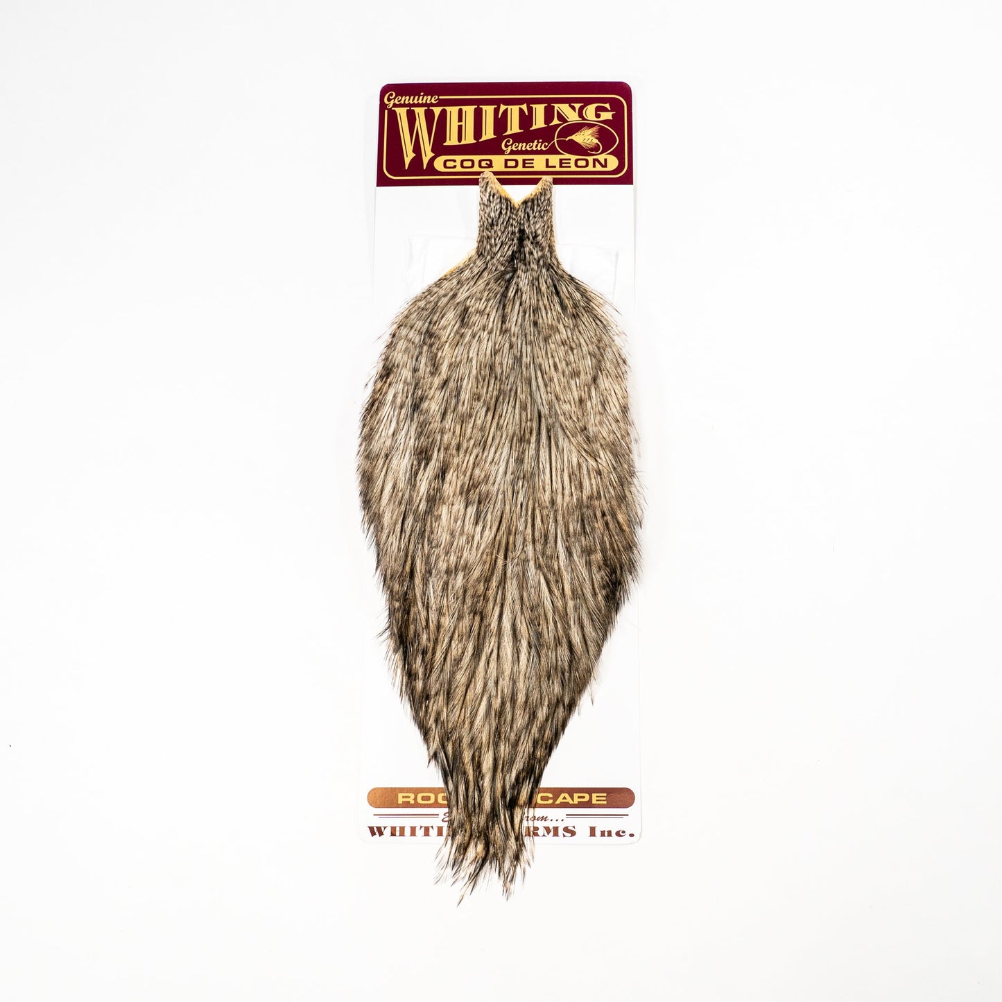 Whiting Coq de Leon Rooster Cape