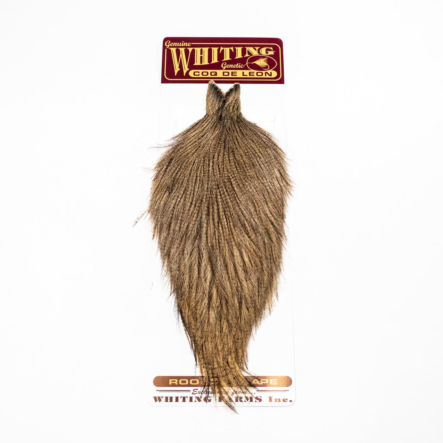 Whiting Coq de Leon Rooster Cape