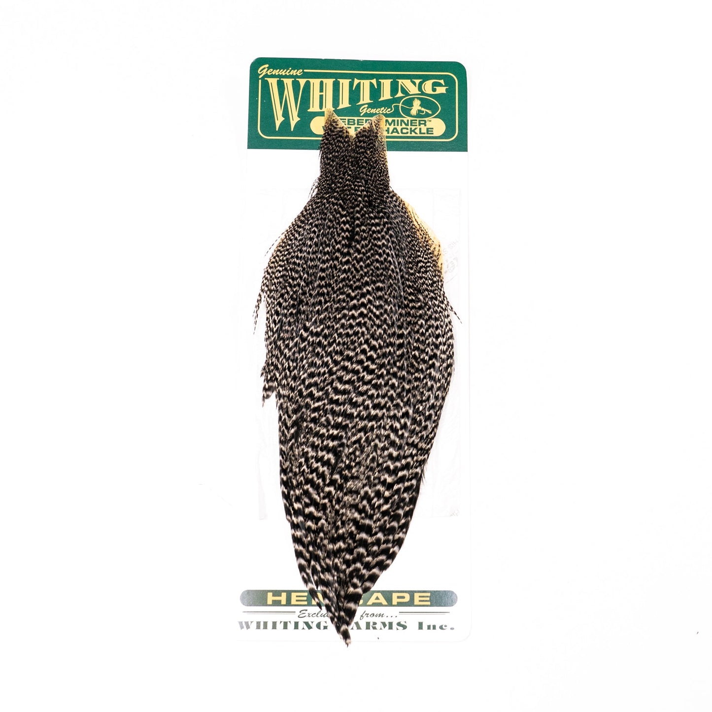 Whiting Hebert Hen Cape