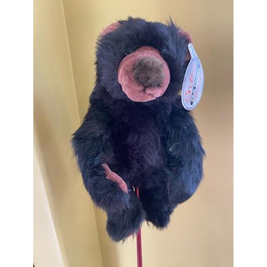 Black bear Critter Club Covers