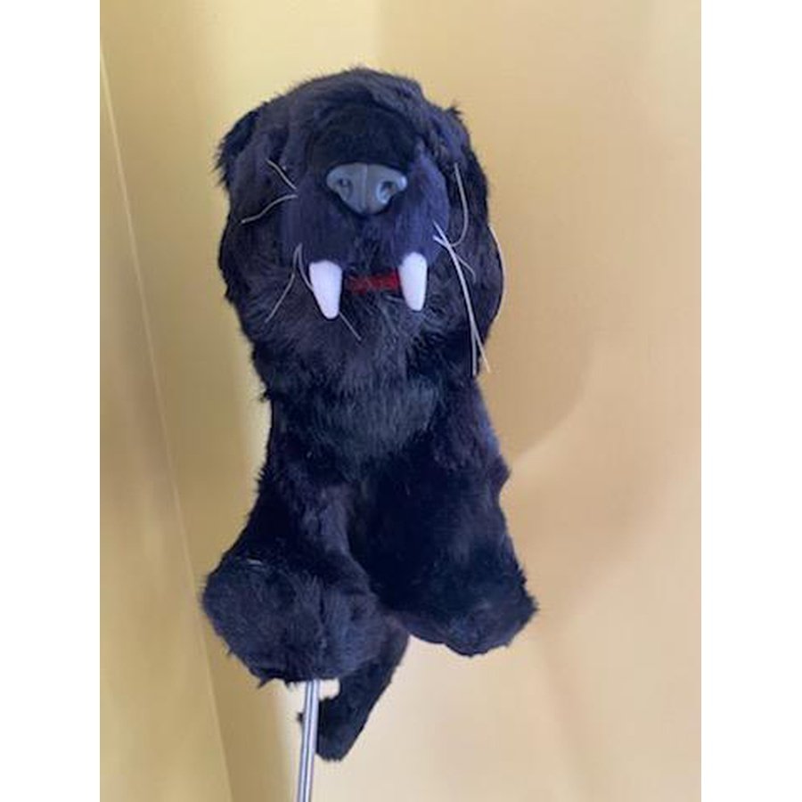 Black panther Critter club cover