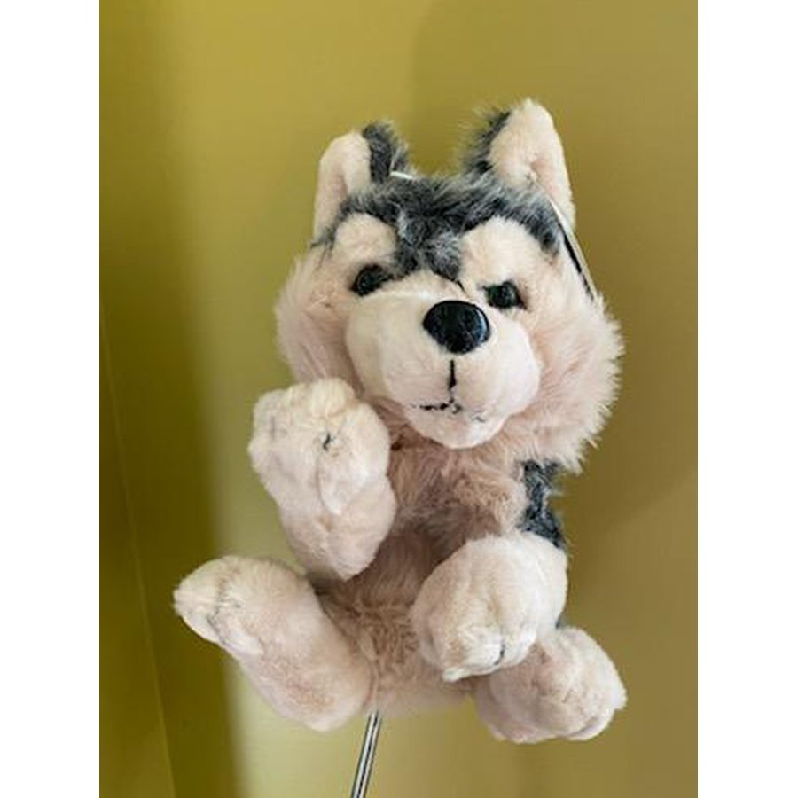 Wolf Critter Club Cover