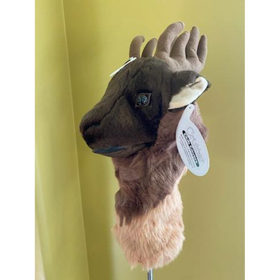 Dear Critter Club Cover