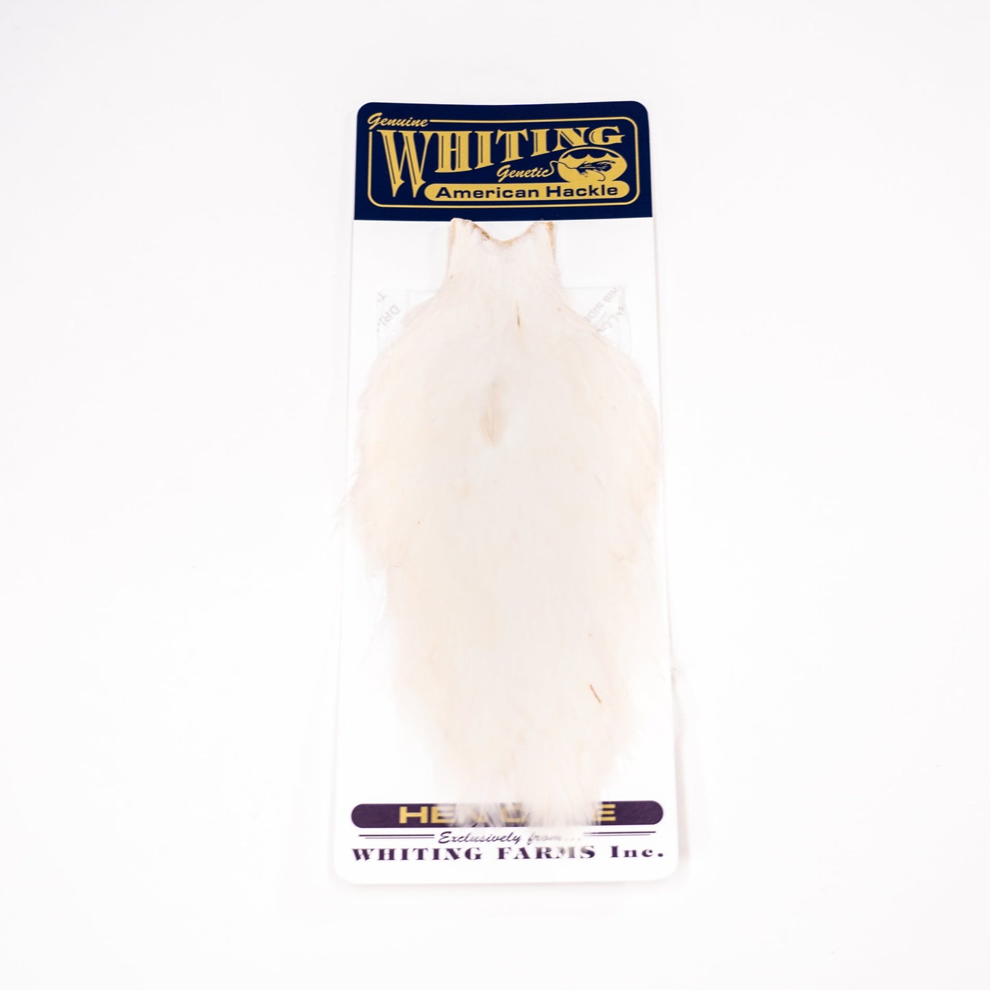 Whiting American Hen Cape